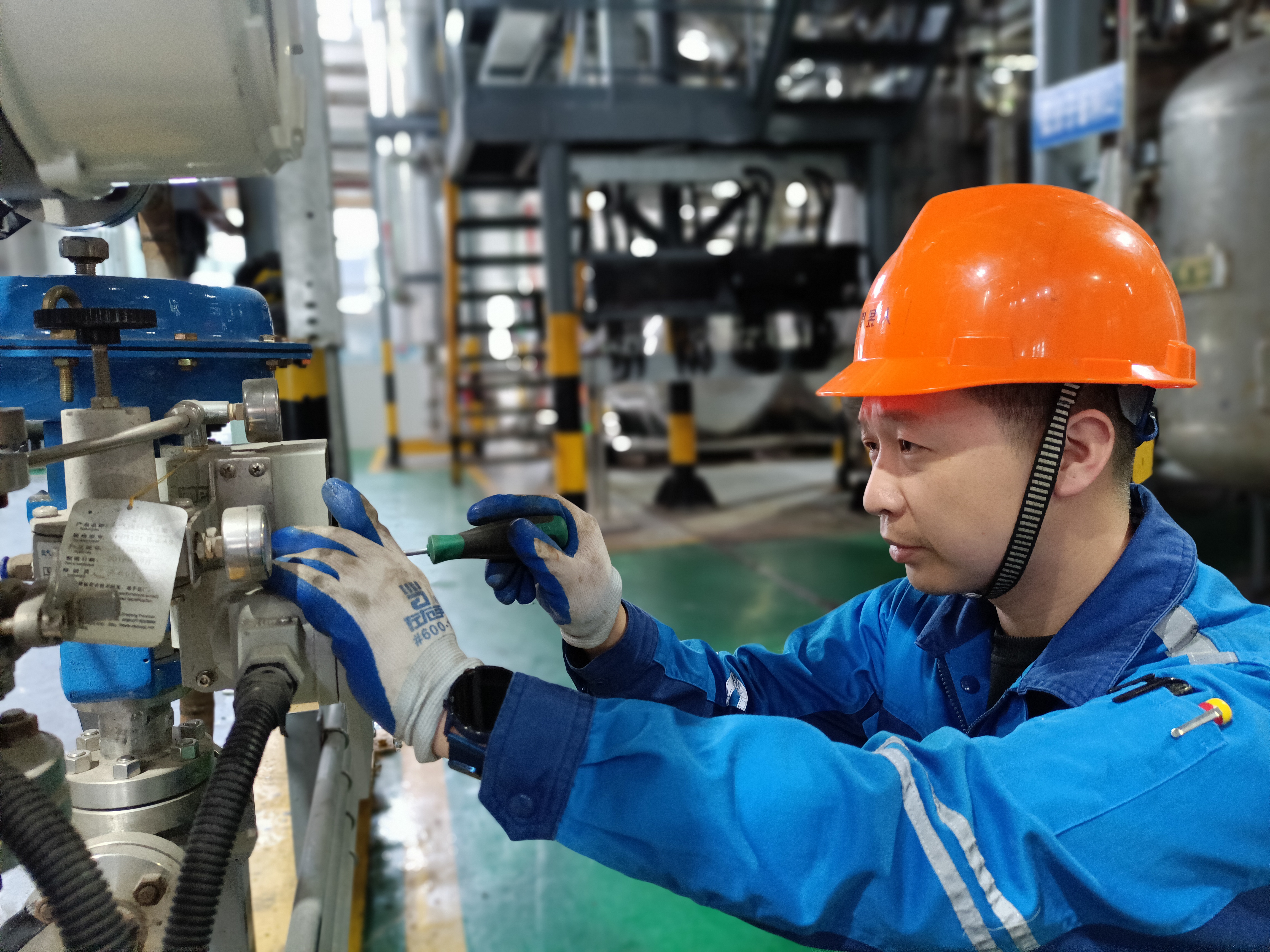 1731466608319367sHac.jpg 1731466608319367sHac.jpg